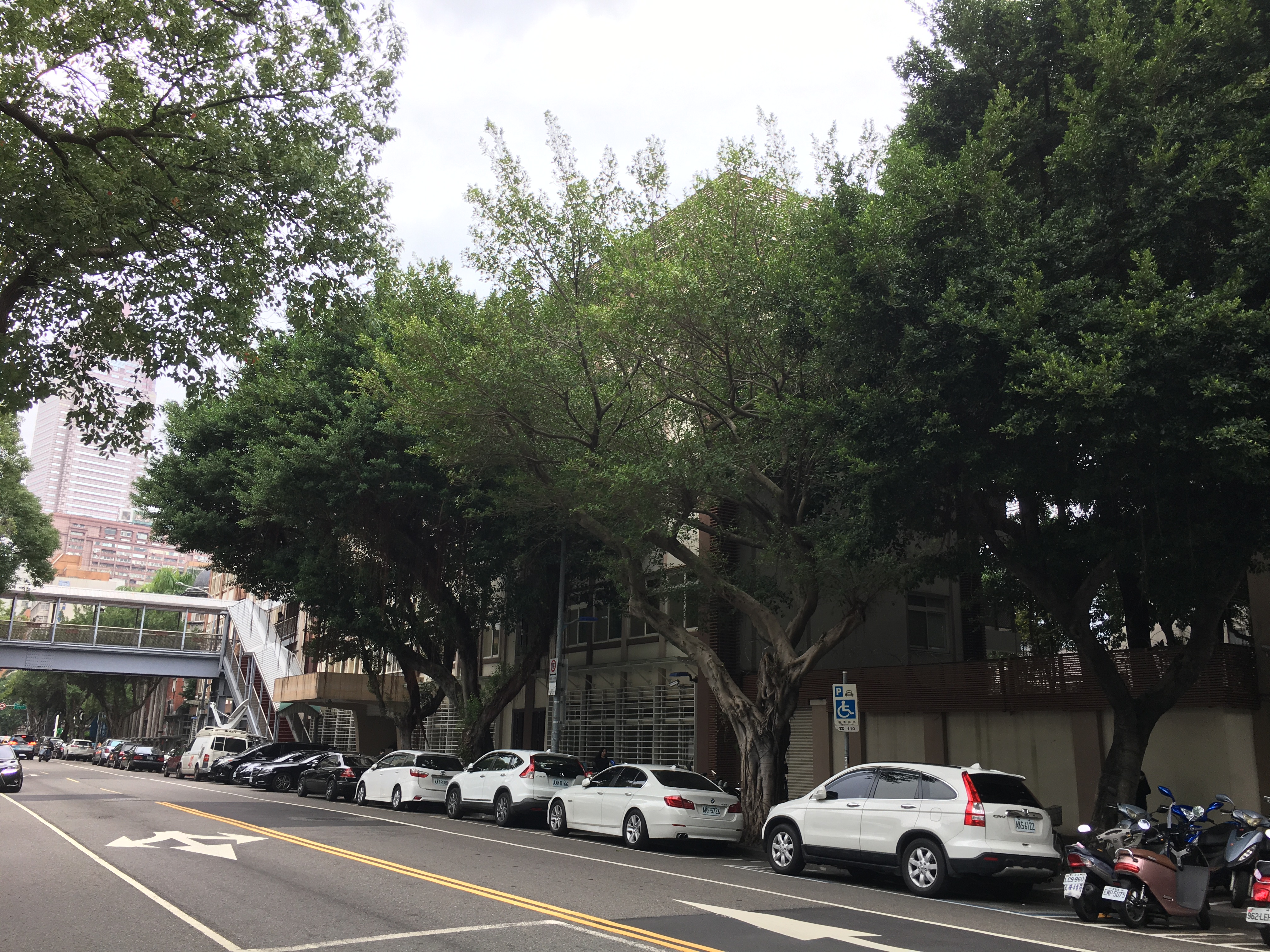 跟國防部軍法局有關的相片，第1張
